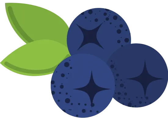 Blueberries